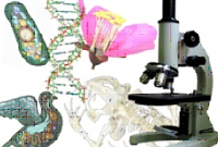 Омская гуманитарная академия проводит авторские методические семинары  для учителей биологии  д.п.н., ведущего научного сотрудника, профессора педагогики, психологии и социальной работы ОмГА  Арбузовой Елены Николаевны на 2018/19 учебный год
